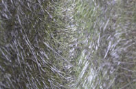 Thinford fibreglass roof work